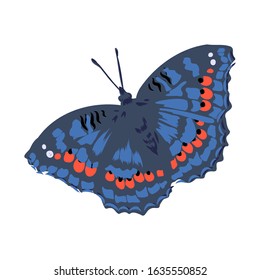 bright beautiful realistic butterfly, vector illustration