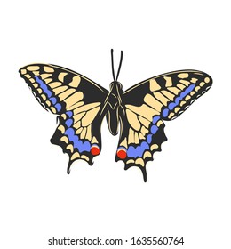 bright beautiful realistic butterfly, vector illustration