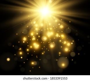 Bright beautiful star.Vector illustration of a light effect on a transparent background.	
