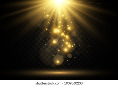 Bright beautiful star.Vector illustration of a light effect on a transparent background.	
