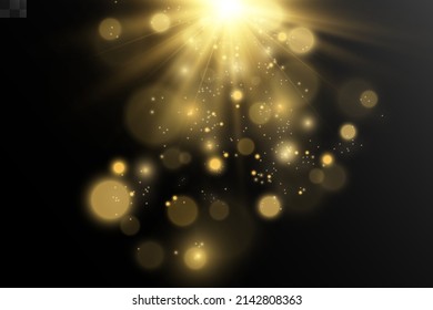 Bright beautiful star.Vector illustration of a light effect on a transparent background.