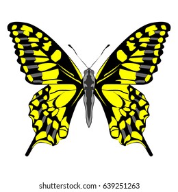 Bright beautiful yellow butterfly. Vector illustration isolated on white background.