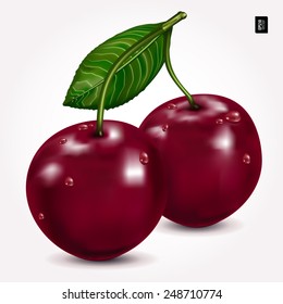 Bright berries ripe cherry with drops, isolated on white. Vector illustration. 