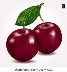 Las bayas brillantes maduran cereza con hojas aisladas en blanco. Ilustración vectorial. 