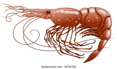 Bright big red sea shrimp. Illustrator 8.