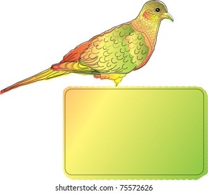 Bright bird with blank banner