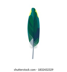 Bright bird feather. Beautiful detailed colorful feather of exotic bird vector illustration isolated on white background