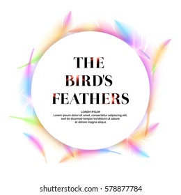 Bright bird feathers on a white background. Fashionable and modern vector poster.