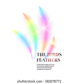 Bright bird feathers on a white background. Fashionable and modern vector poster.