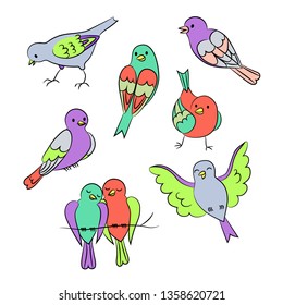 
bright birds set