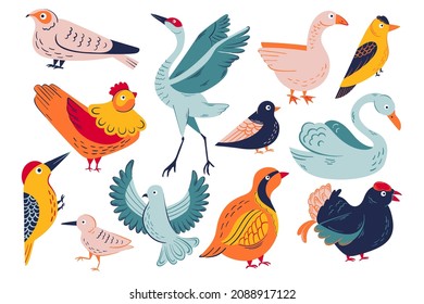 Bright birds vector set. 12 christmas birds illustrations. Big set of cute birds 