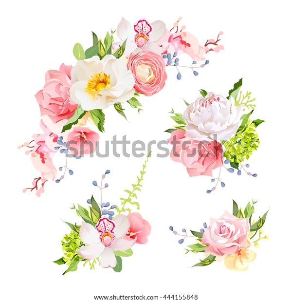 Bouquets D Anniversaire Lumineux De Rose Sauvage Image Vectorielle De Stock Libre De Droits