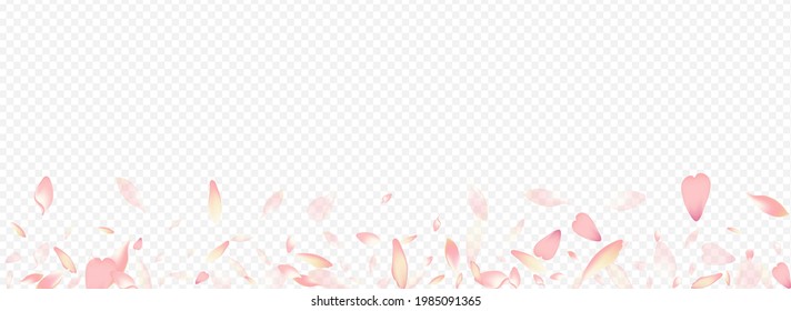 Fondo Panorámico Transparente De Vector De Bloom Luminoso. Diseño del Matrimonio Petal. Cubierta superpuesta de cerezo. Cartel de la Marcha Sakura. Ilustración De Purple Blossom Down.