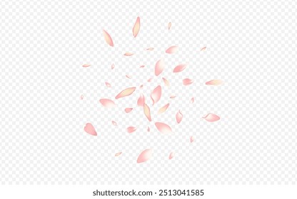 Bright Bloom Vector Transparent Background. Floral Blur Texture. Blossom Isolated Congratulation. Cherry Graphic Poster. Light Rose Free Template.