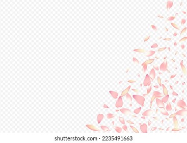 Bright Blossom Vector Transparent Background. Lotus Dream Backdrop. Leaf Wedding Illustration. Peach Isolated Pattern. Pink Petal Flutter Congratulation.