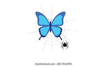 Bright blue butterfly caught in a delicate white spider web with a small black spider waiting below.