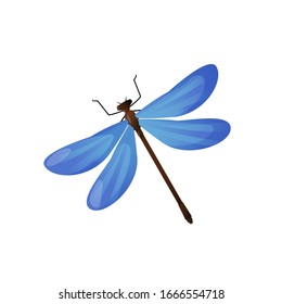 Bright blue dragonfly insect isolated on white. Vector design element for greeting and advertising products.