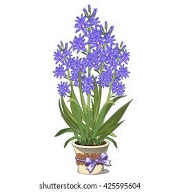 Bright blue flowers in pot isolated on white background. Vector cartoon close-up illustration.