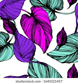 
Diseño de silueta violeta botánica brillante. Noble planta de selva floral. Naturaleza vintage sin fisuras sobre fondo de color blanco. Dibujo manuscrito impreso para textil. Diseño florido moderno.