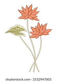 Bright bouquet of two nymphaea flowers with leaf. Bunch of blooming water wild plants. Botanical hand-drawn elements for design projects. Vector illustration