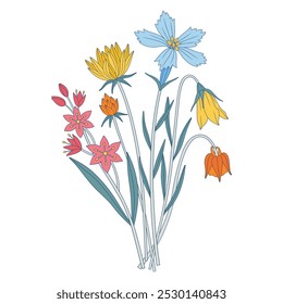 Ramo brillante de flores silvestres. Manojo de campanilla, gagea, diferentes flores de prado, plantas silvestres en flor y hierbas. Elementos botánicos dibujados a mano para proyectos de diseño. Ilustración vectorial