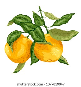 Bright branch with orange fruits made in graphic design with leaves in bright colors. The image is made in graphic realism
