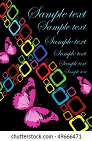 Bright butterflies