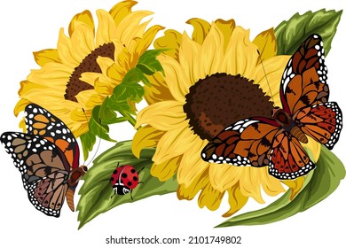 Bright butterflies on sunflowers.Multicolored butterflies and sunflowers in vector illustration on a transparent background.