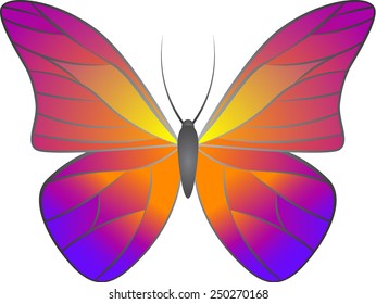 Bright Butterfly