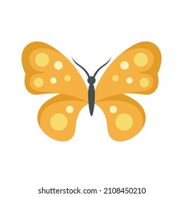 Bright butterfly icon. Flat illustration of bright butterfly vector icon isolated on white background