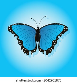 Bright butterfly on a colored background with a shadow. Vector illustration.