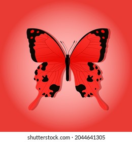 Bright butterfly on a colored background with a shadow. Vector illustration.