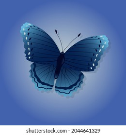 Bright butterfly on a colored background with a shadow. Vector illustration.