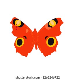 Bright butterfly vector illustration 