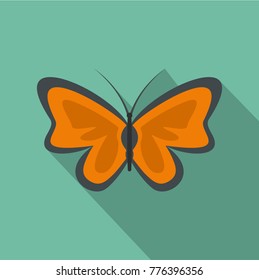 Bright butterflyicon. Flat illustration of bright butterfly vector icon for web