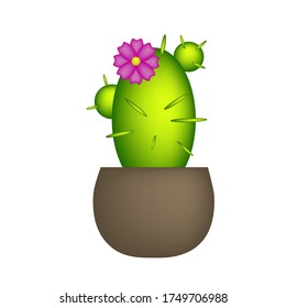 Bright cactus with a flower with needles. Vector illustration.