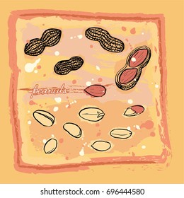 A bright card with hand drawn peanuts and peanuts in shells in warm tones on grunge background