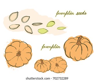 A bright card with hand drawn pumpkins and pumpkin seeds in warm tones isolated on white