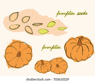 A bright card with hand drawn pumpkins and pumpkin seeds in warm tones on light background