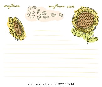 A bright card with hand drawn sunflowers and sunflower seeds in warm tones isolated on white