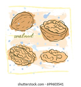A bright card with hand drawn walnuts in warm tones on grunge background