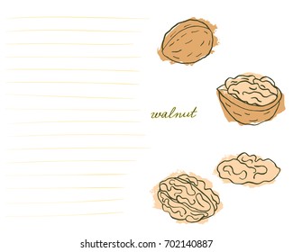 A bright card with hand drawn walnuts in warm tones isolated on white