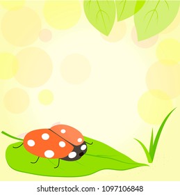 bright card with ladybug
