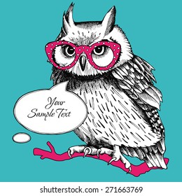 Bright card for your text with image of an owl with glasses on blue background. Vector illustration.