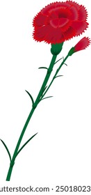Flor de clavel brillante para el diseño.