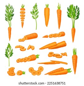 Bright Carrot Root Vegetable with Top Leaves Whole and Sliced Big Vector Set. Fresh Agricultural Crop Harvest and Cultivation