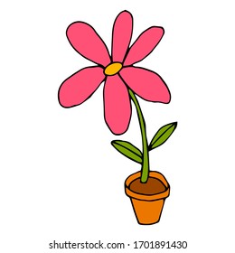 Bright cartoon doodle flower in pot isolated on white background. Vector illustration.  