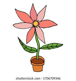 Bright cartoon doodle flower in pot isolated on white background. Vector illustration.  