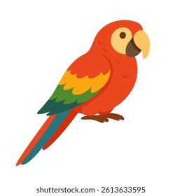 Bright cartoon macaw parrot with rainbow feathers. Flat vector illustration of exotic pet bird.