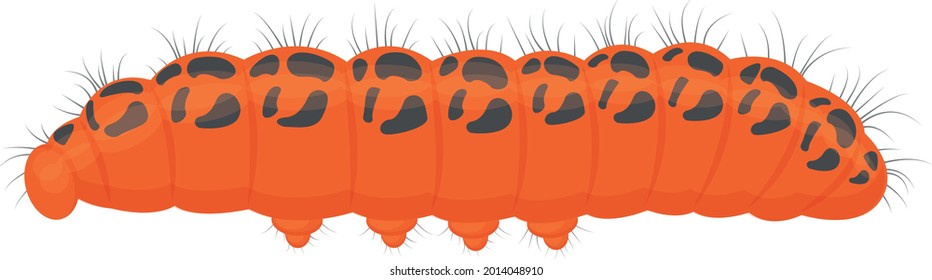 The bright caterpillar is bright orange in color. The insect is an agricultural pest. Vector illustration isolated on a white background